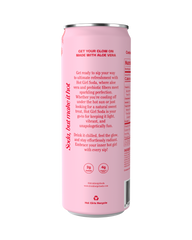 Mango Dragon Fruit: 12 Pack